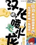 噴火龍的漢化過程