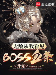 無敵從我看見BOSS血條開始
