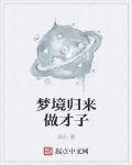 夢境歸來做才子