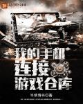 我的手機連接遊戲倉庫