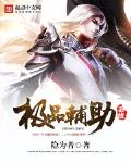 極品輔助係統