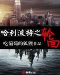 哈利波特之輪回