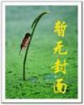 巫師世界的法師