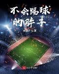 不會踢球的胖子