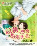 總裁大人彆來無恙