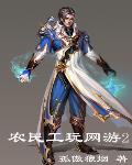 農民工玩網遊2