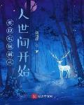 影視編輯器