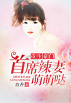 重生豪門：首席辣妻萌萌噠
