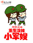 重生潑辣俏佳人