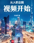 從入職企鵝視頻開始