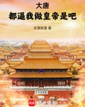 大唐：都逼我做皇帝是吧！