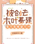 被創去木葉基建是不是哪裡不對