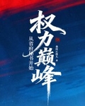 權力巔峰：從省府秘書開始