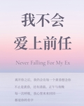 我不會愛上前任